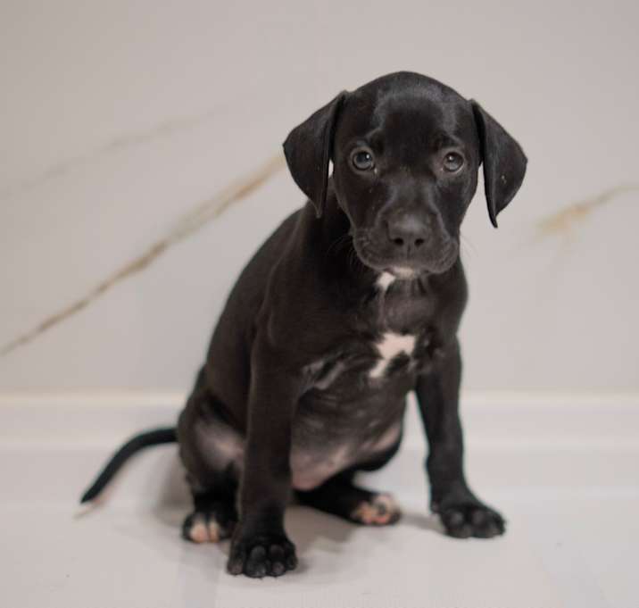 Photo of Anastasia