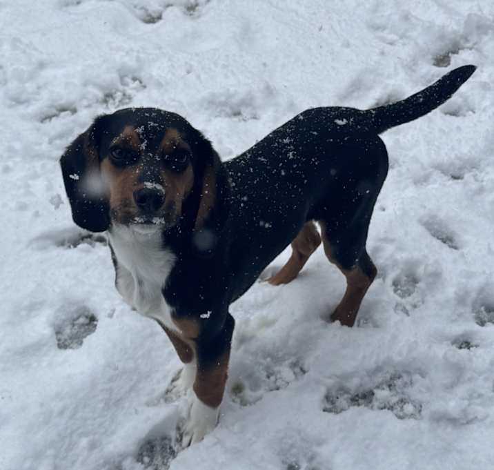 Photo of Major