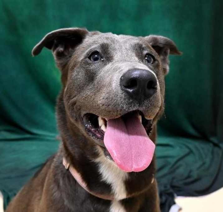 Photo of Moochie