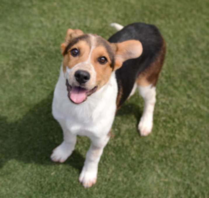 Photo of Fizz