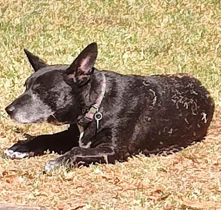 Photo of Little Bit