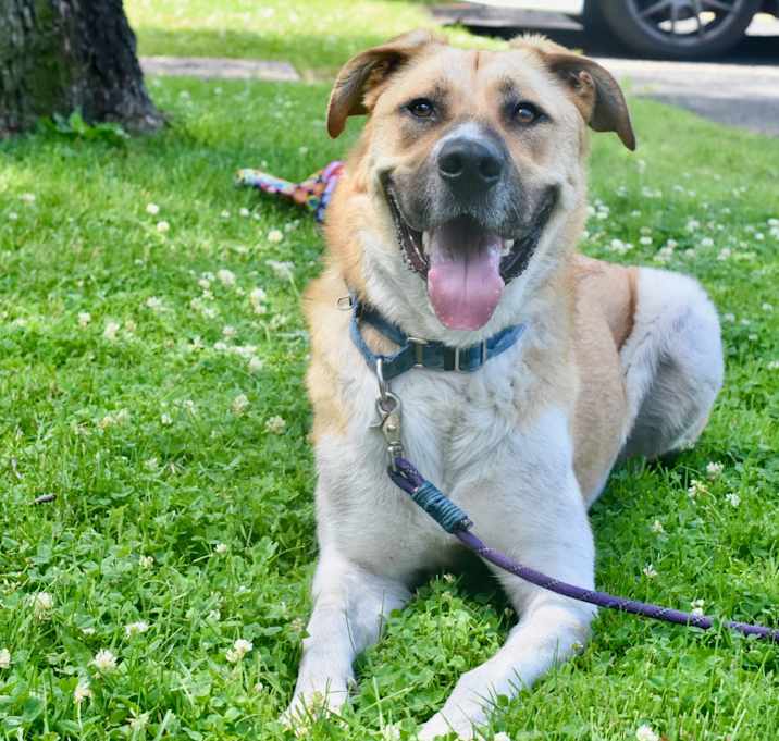 Photo of Zeus