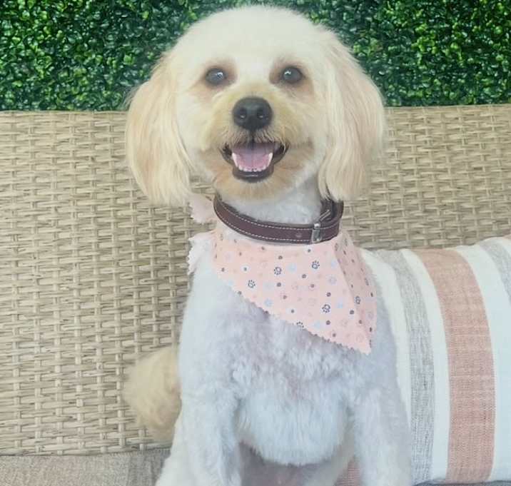 Photo of SOFI
