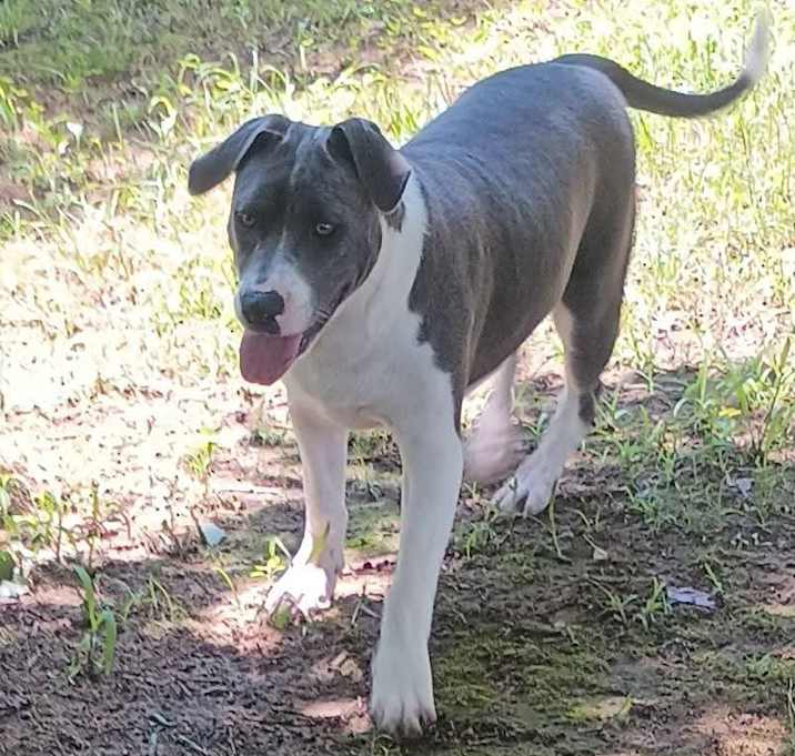 Photo of Wanda