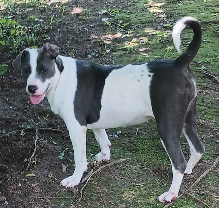 Photo of Wendy