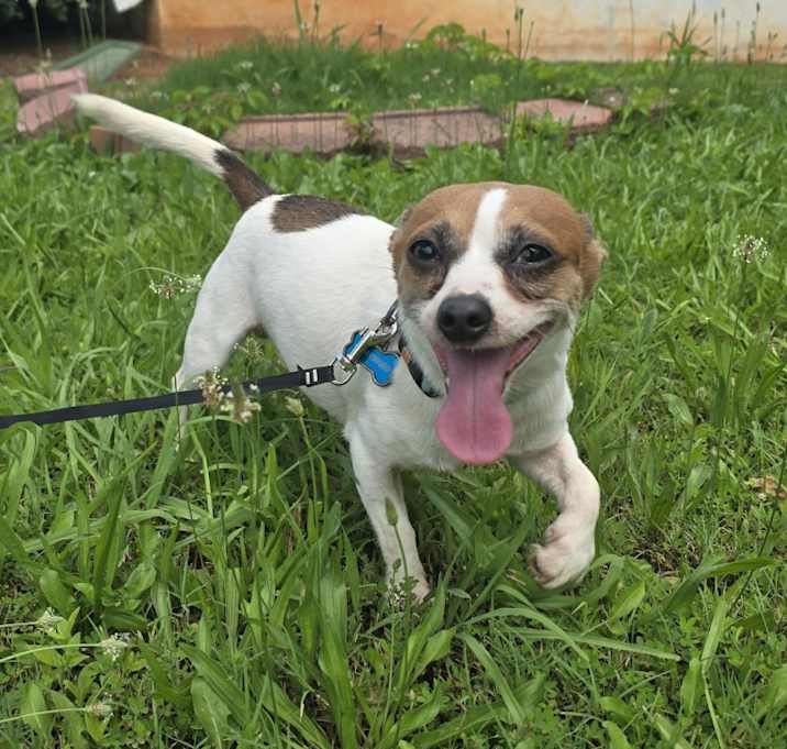 Photo of Coco