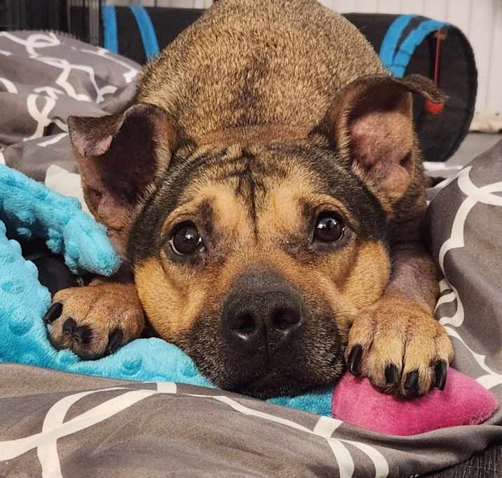 Photo of Maxine