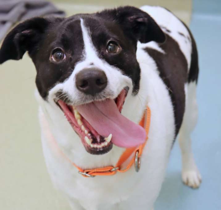 Photo of Ernie