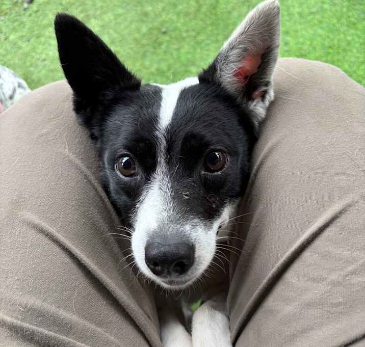 Photo of Mitzi