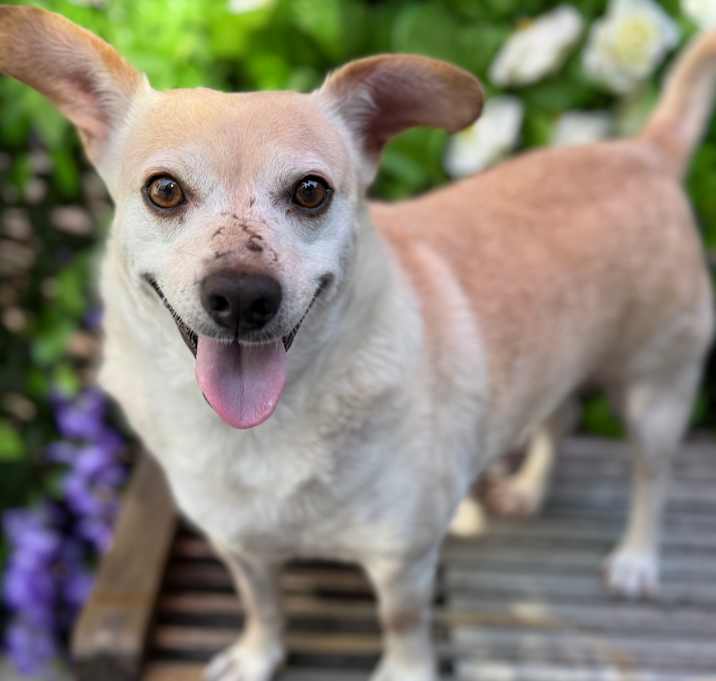 Photo of Gus