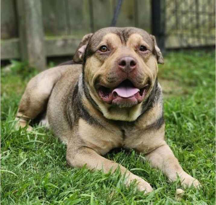 Photo of Vinnie