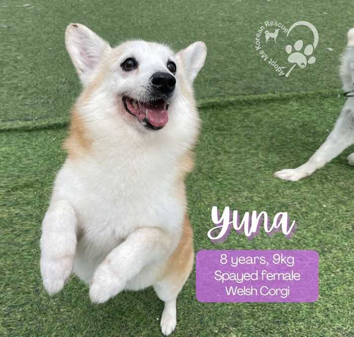 Photo of Yuna