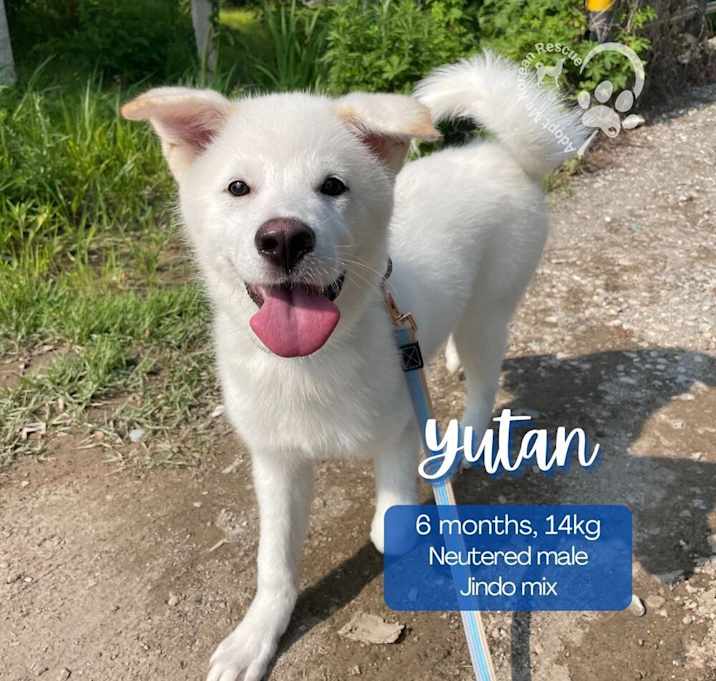 Photo of Yutan