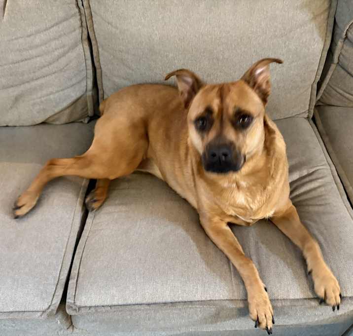 Photo of Mocha