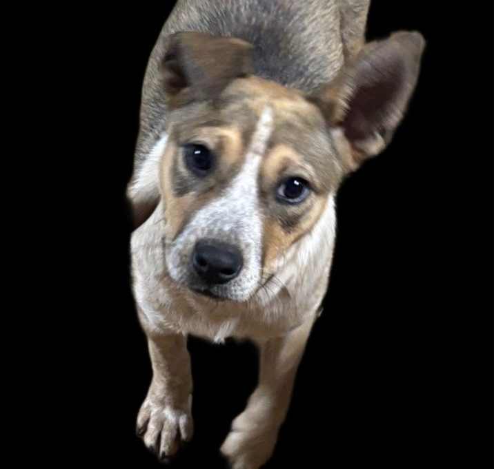 Photo of Buffy