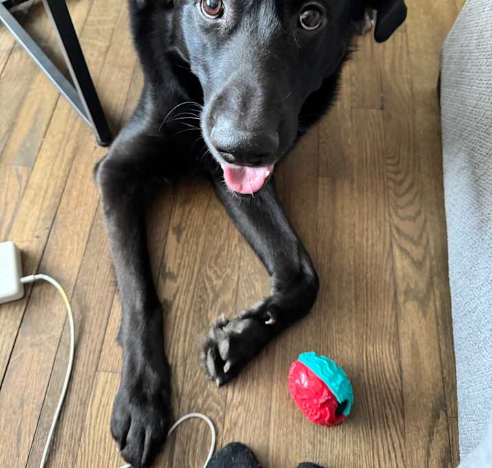 Photo of Kobe