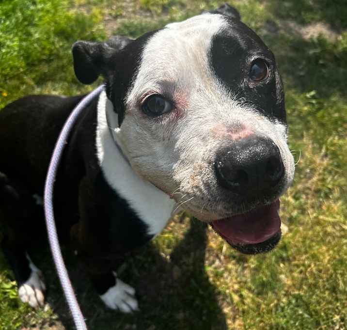 Photo of Rylee