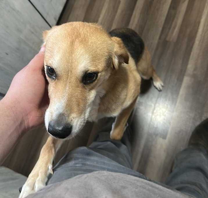Photo of Cleo