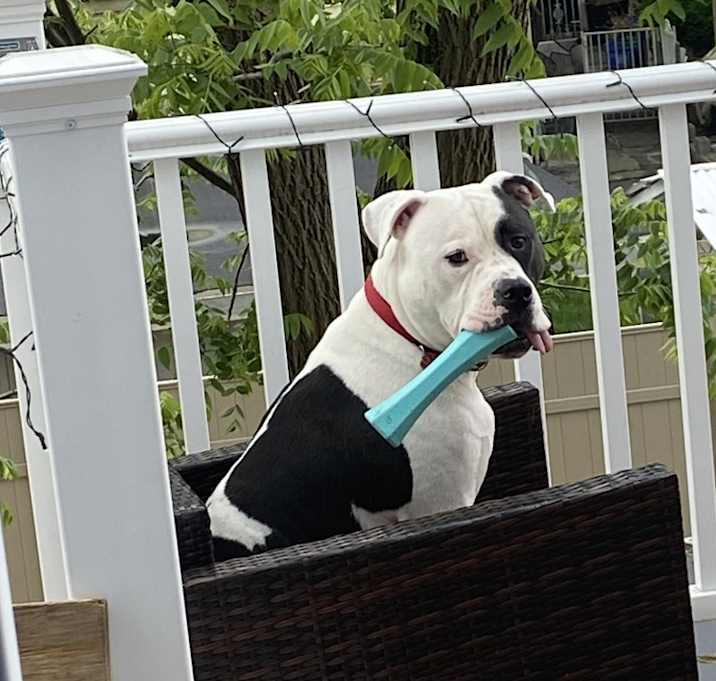 Photo of Charlie