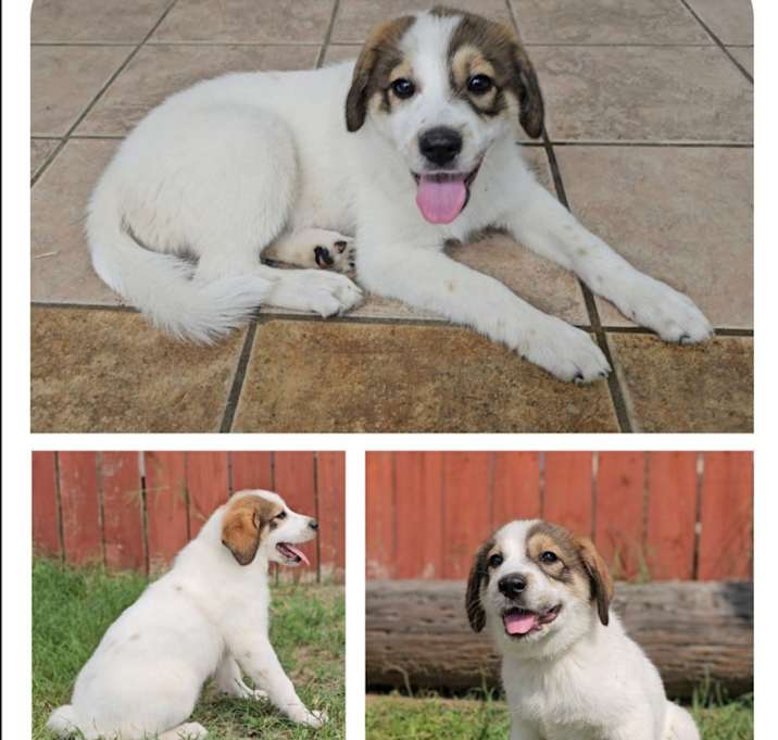 Photo of Bonnie