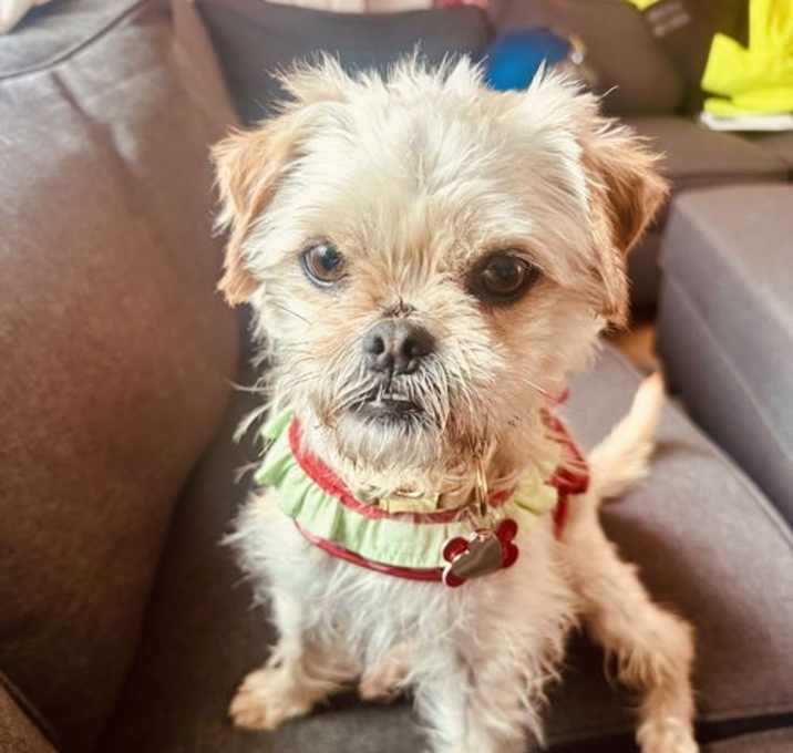 Photo of Kiki