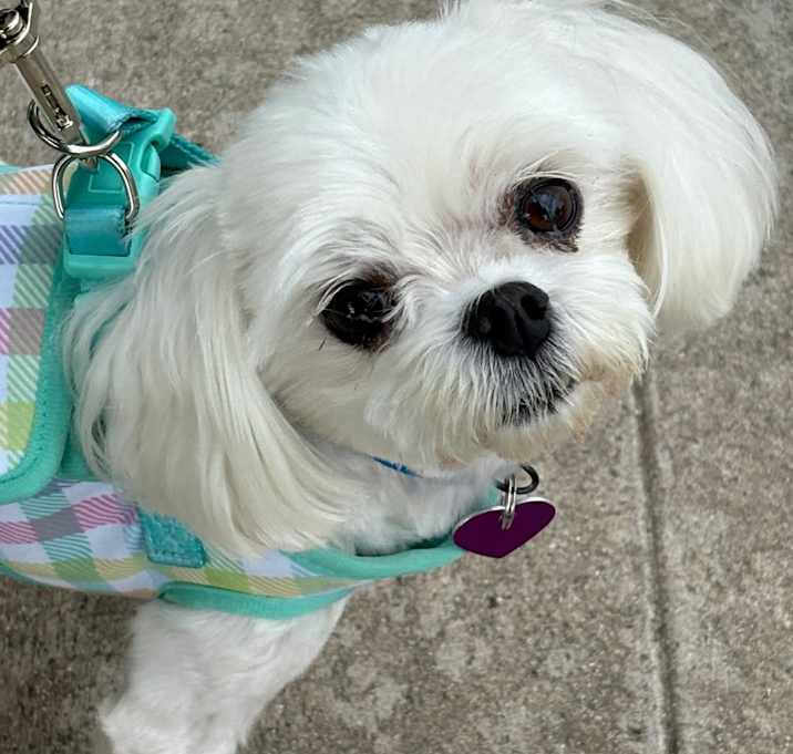 Photo of Polly