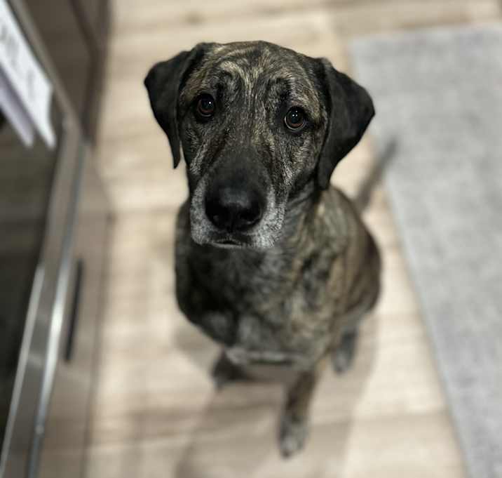 Photo of Cash