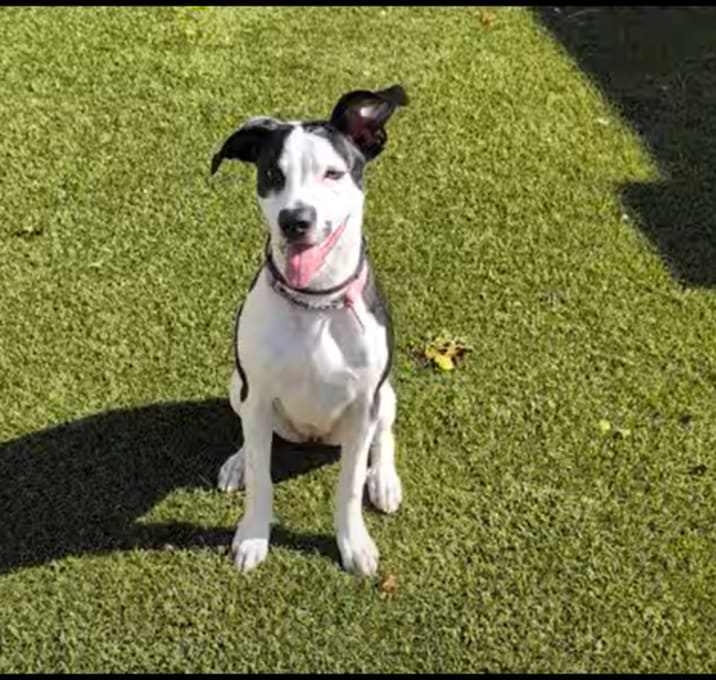 Photo of Elsie