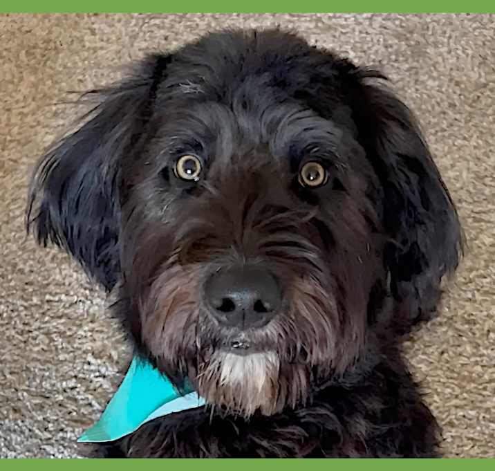 Photo of Jack