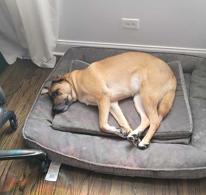Photo of Arya