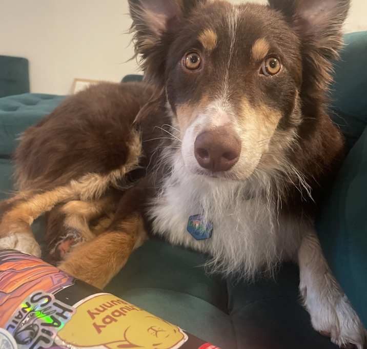 Photo of Quest