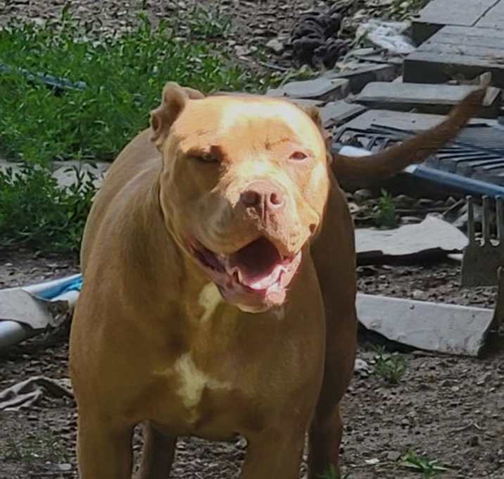 Photo of Maxine