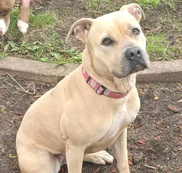 Photo of Molly