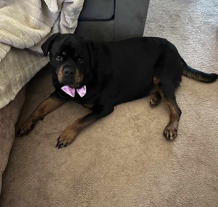 Photo of Lena