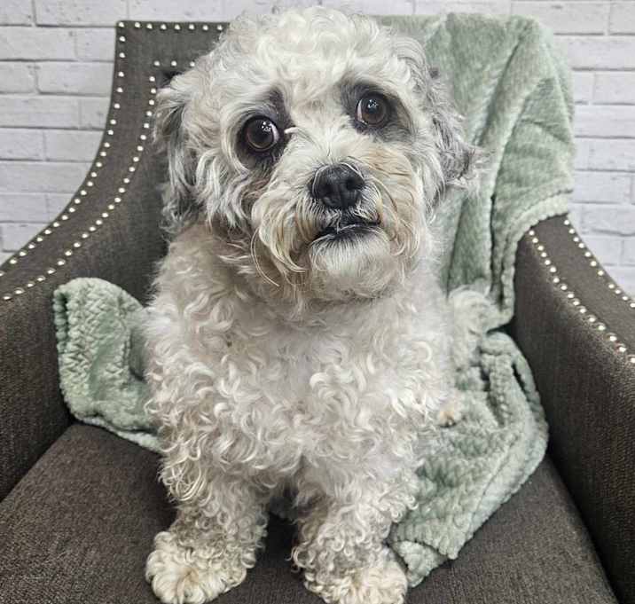 Photo of Popcorn