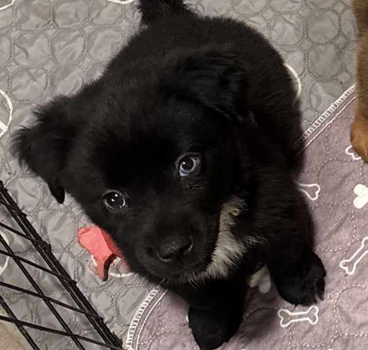 Photo of Zoe