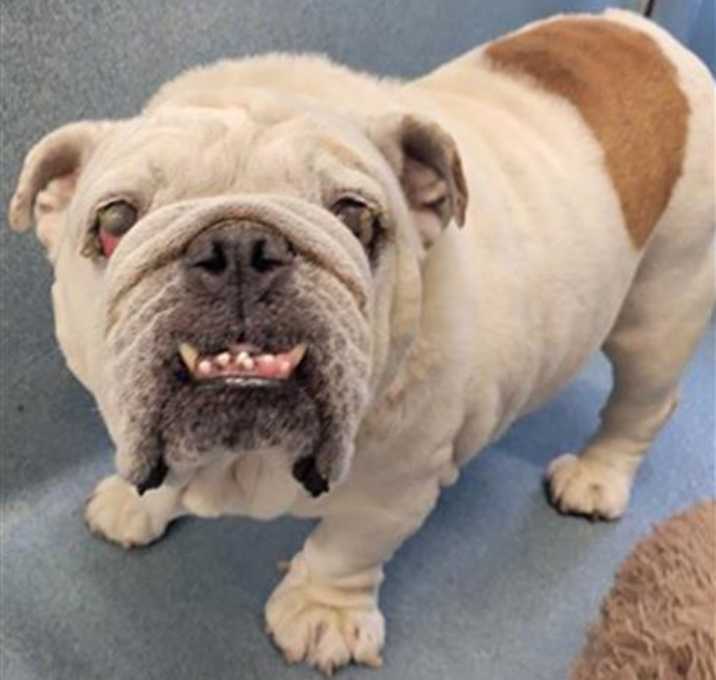 Photo of HERCULES