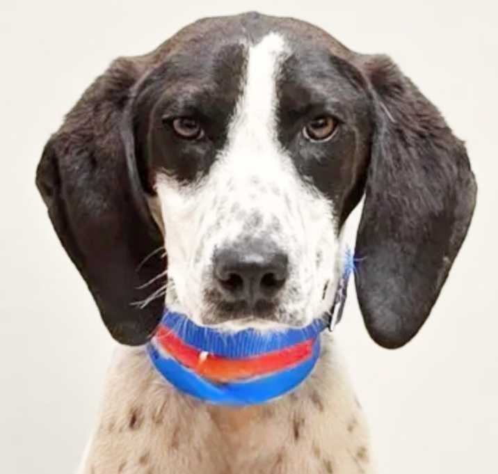 Photo of Sawyer