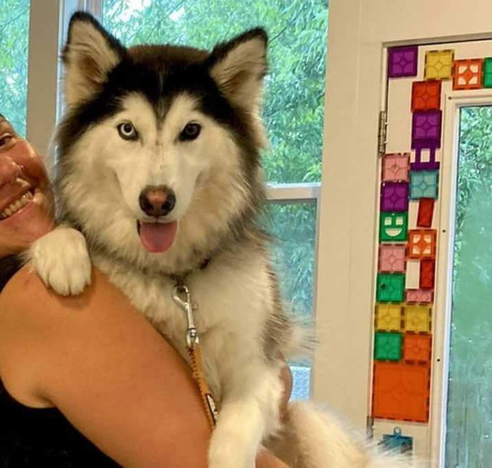 Photo of ZEVYA LUVS KIDS