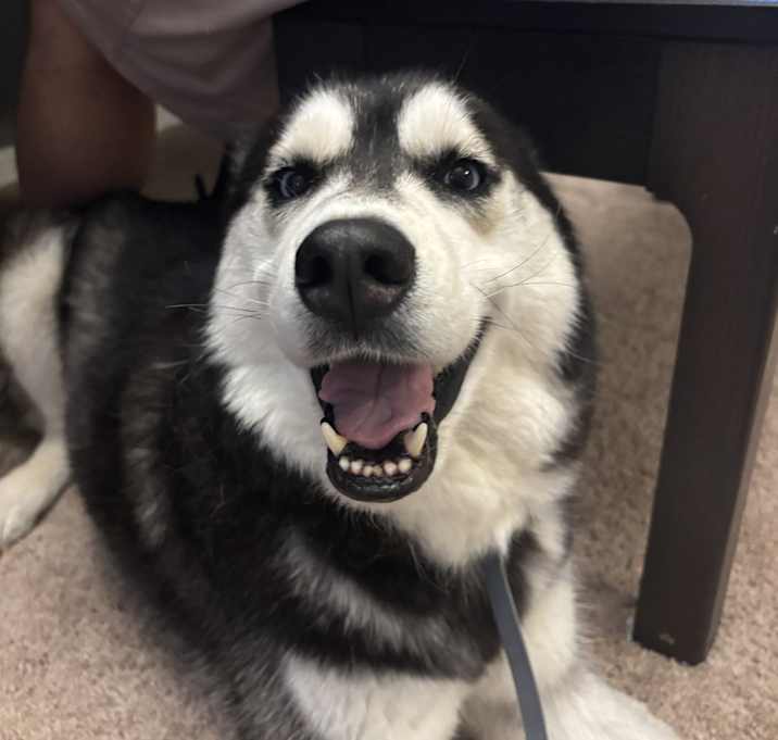 Photo of Oliver