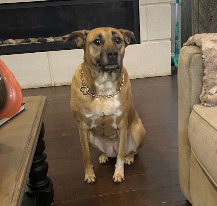 Photo of Hazel