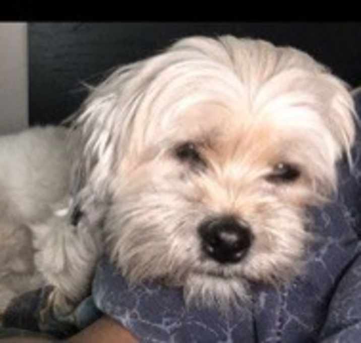 Photo of Heidi