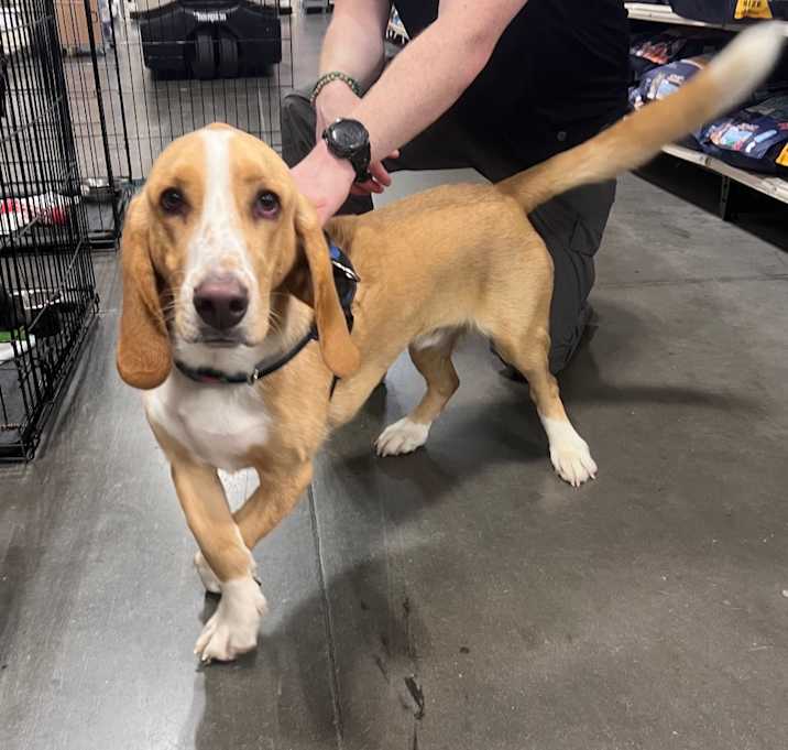 Photo of Murphy (Baxley)