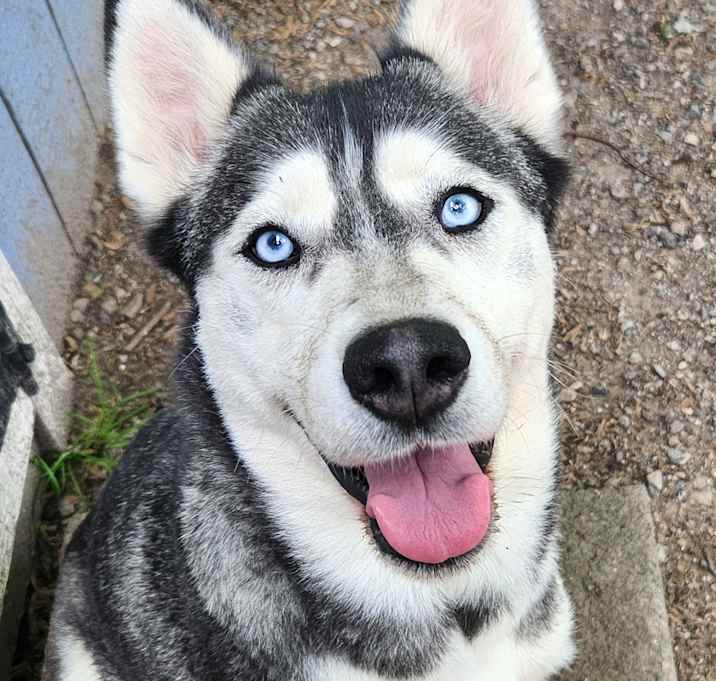 Photo of Tundra