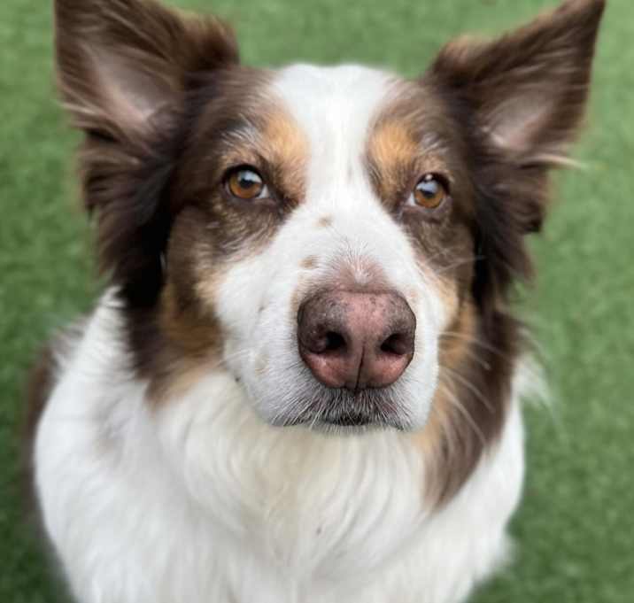 Photo of Riley