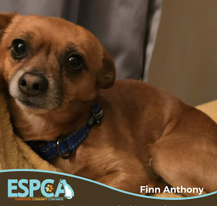 Photo of Finn Anthony