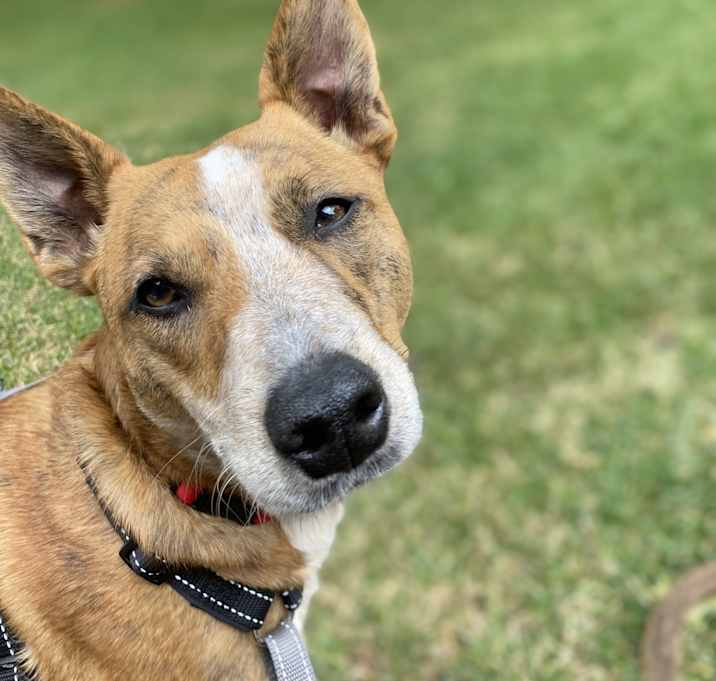 Photo of Kody