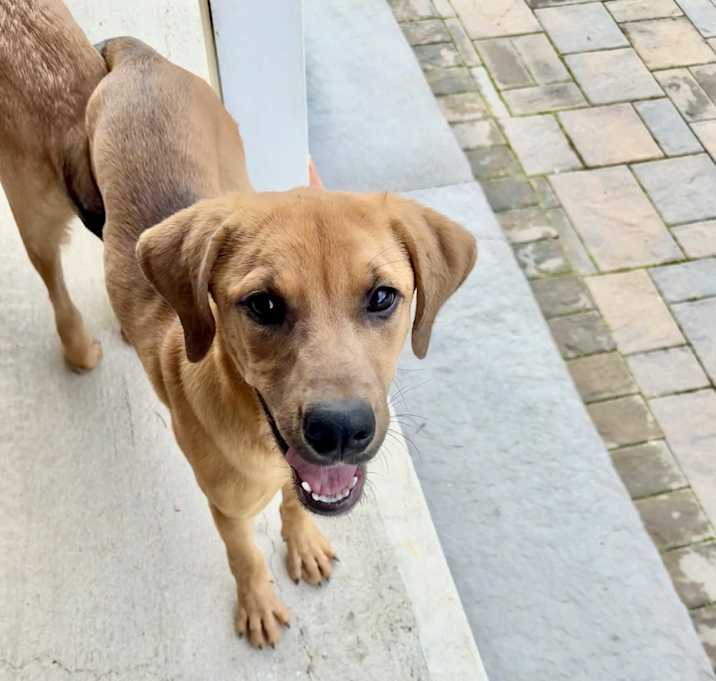 Photo of Heidi
