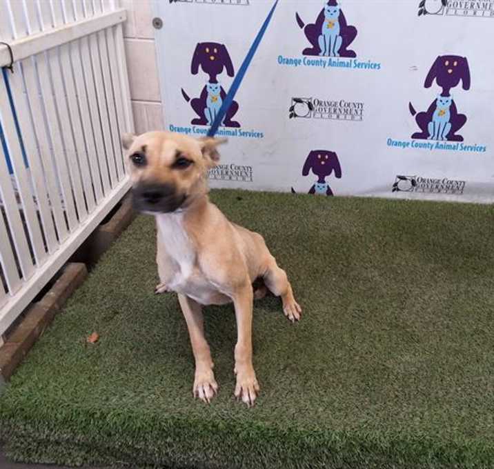 Photo of MAX