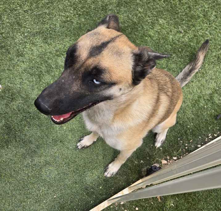 Photo of Coco